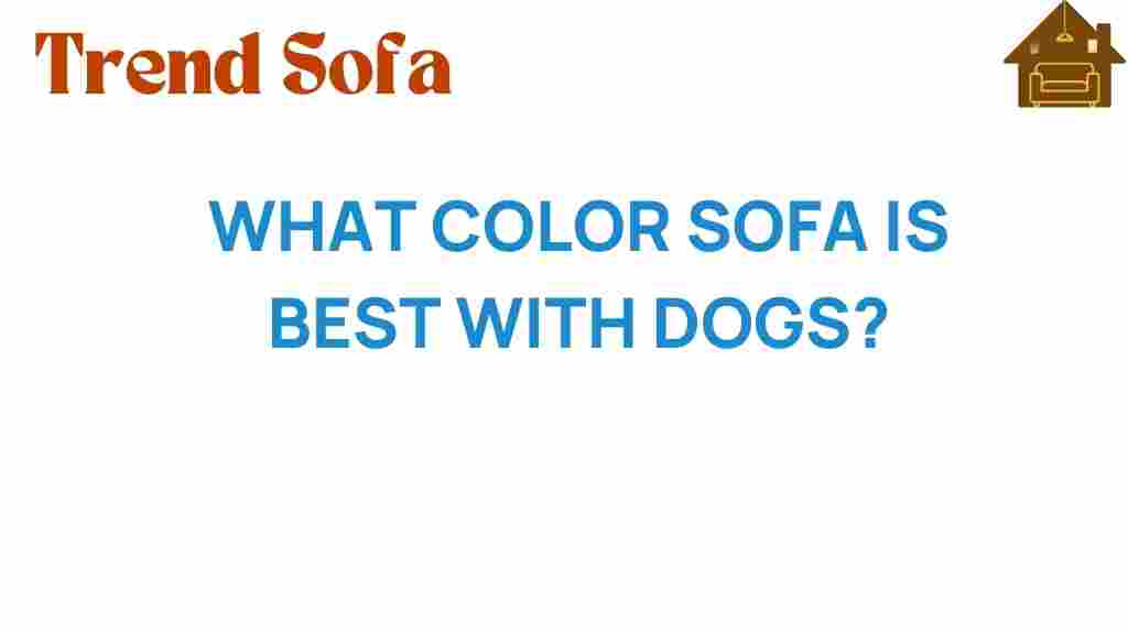 what-color-sofa-is-best-with-dogs