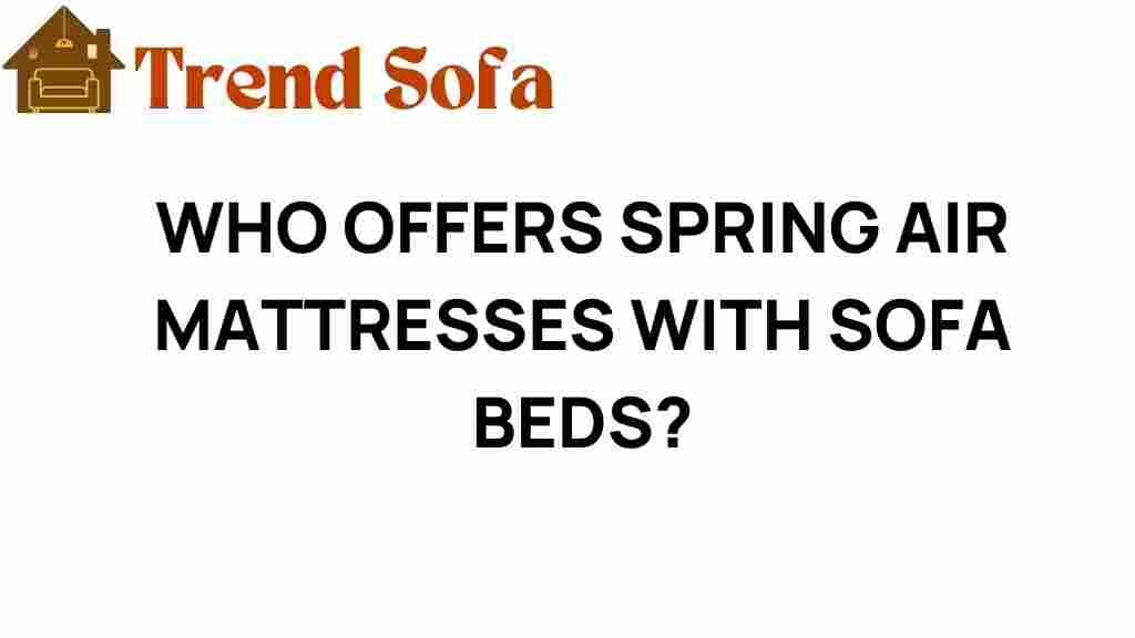 who-offers-spring-air-mattresses-sofa-beds