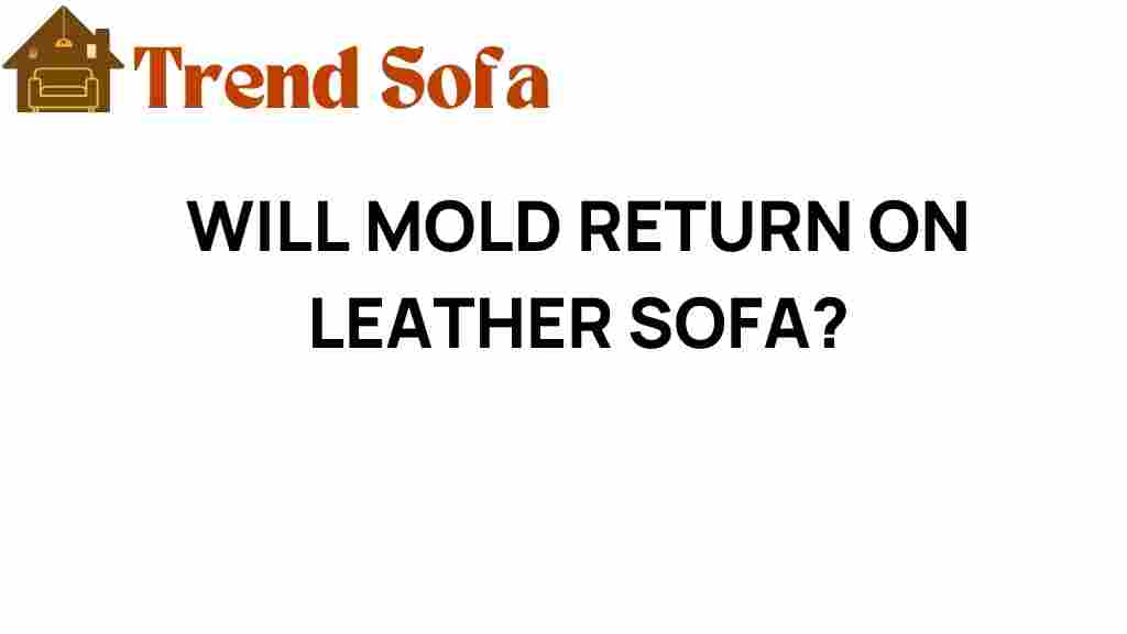 will-mold-return-on-leather-sofa