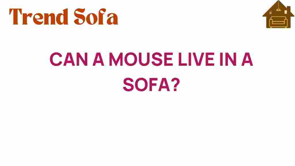 can-a-mouse-live-in-a-sofa
