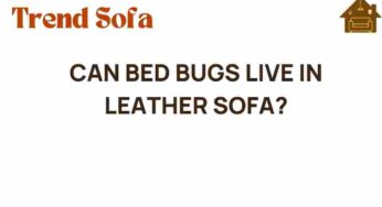 Can Bed Bugs Live in Leather Sofas? Unveiling the Truth Behind Infestations