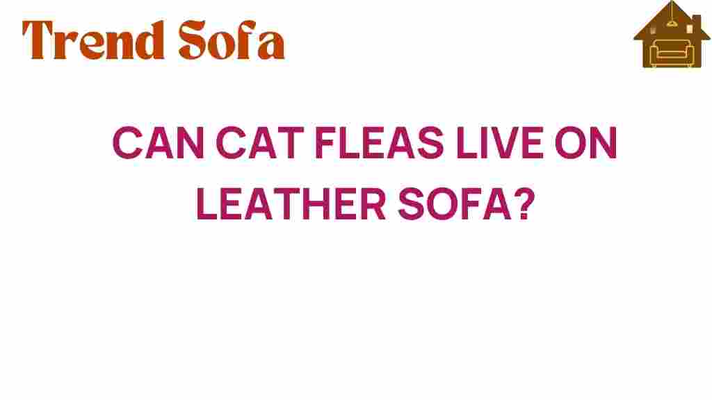 can-cat-fleas-live-on-leather-sofa