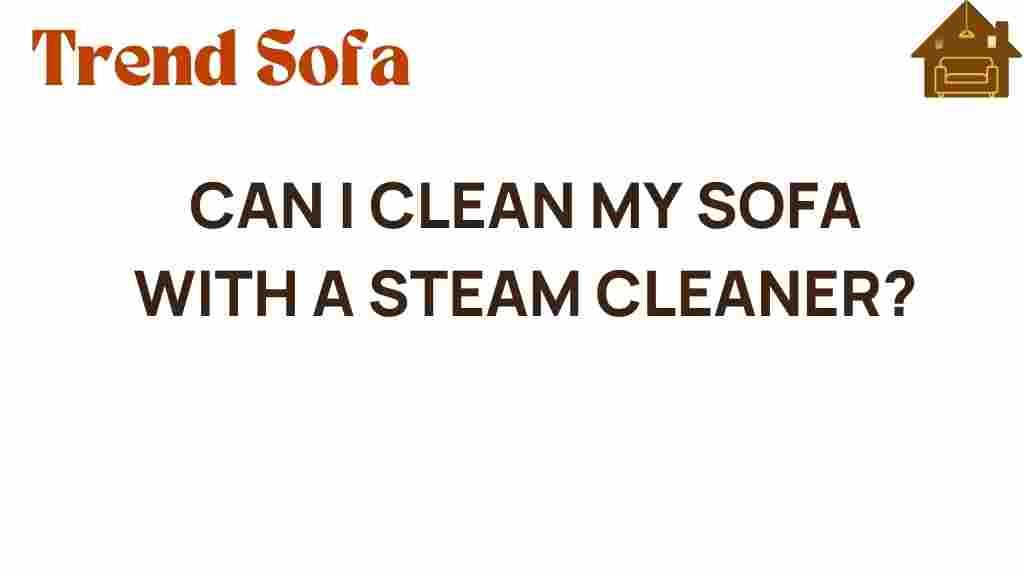 can-i-clean-my-sofa-with-a-steam-cleaner