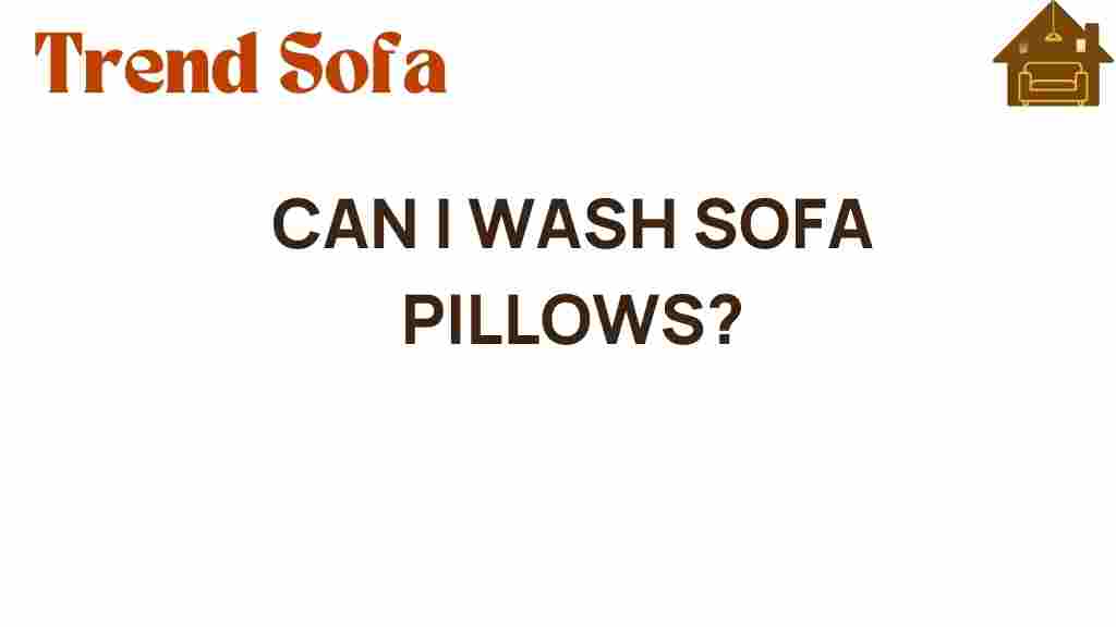 can-i-wash-sofa-pillows