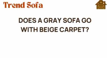 Can a Gray Sofa Harmonize with a Beige Carpet? Discover the Answer!