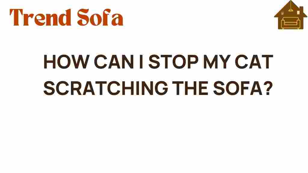 stop-cat-scratching-sofa