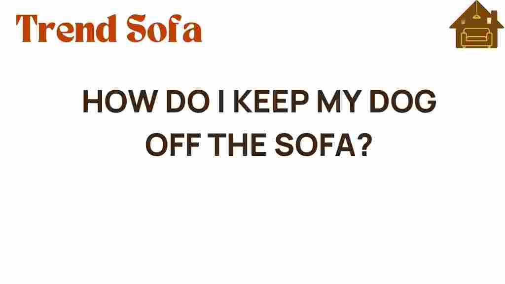 keep-dog-off-sofa