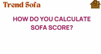 Understanding the SOFA Score: A Guide to Its Calculation and Importance