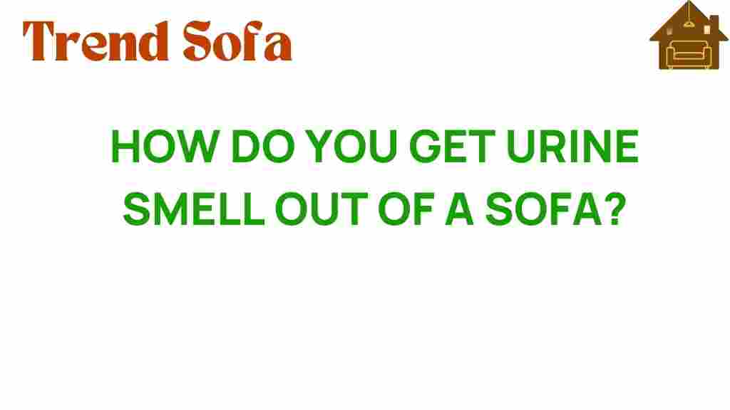 get-urine-smell-out-of-sofa