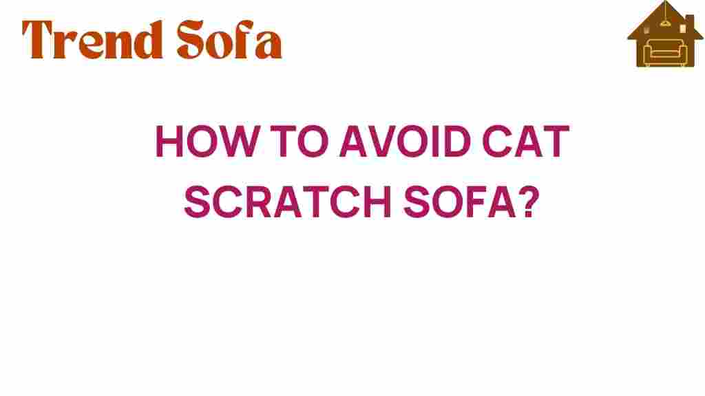 avoid-cat-scratch-sofa