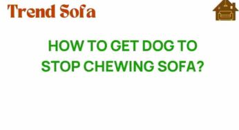 Unraveling the Mystery: How to Get Your Dog to Stop Chewing Sofa?