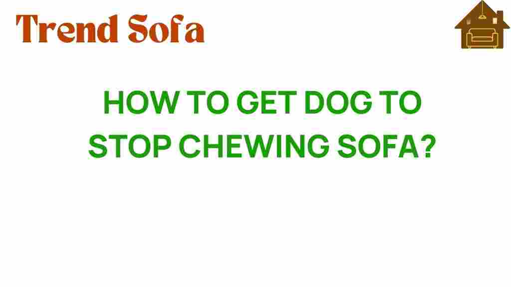 how-to-get-dog-to-stop-chewing-sofa