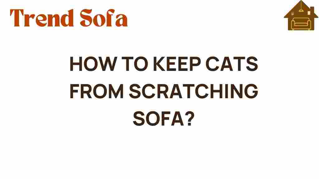 how-to-keep-cats-from-scratching-sofa