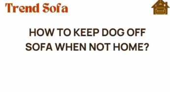Clever Strategies to Keep Your Dog Off the Sofa When You’re Away