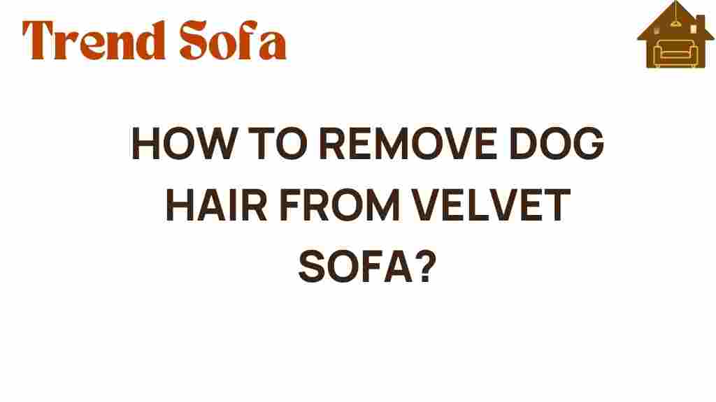 dog-hair-removal-velvet-sofa