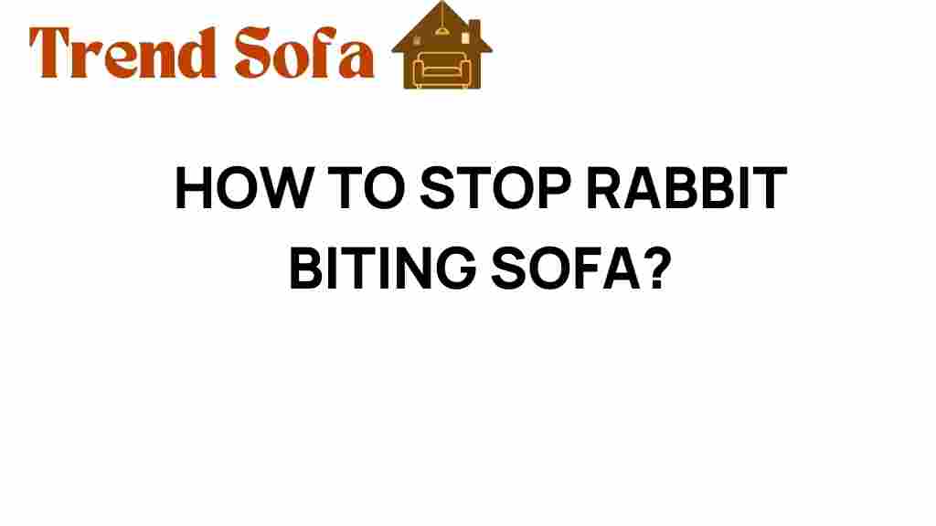 stop-rabbit-biting-sofa