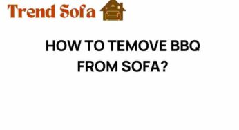 Uncovering the Secrets: How to Remove BBQ Stains from Your Sofa