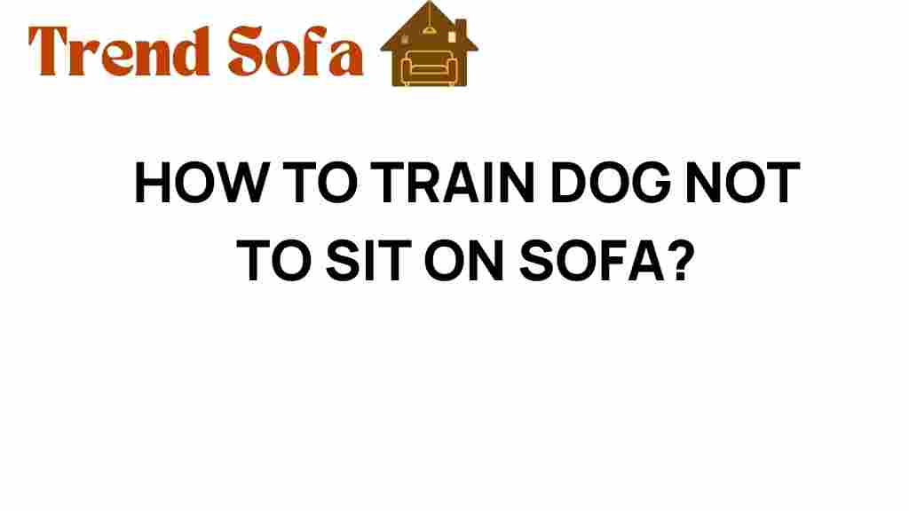 how-to-train-dog-not-to-sit-on-sofa