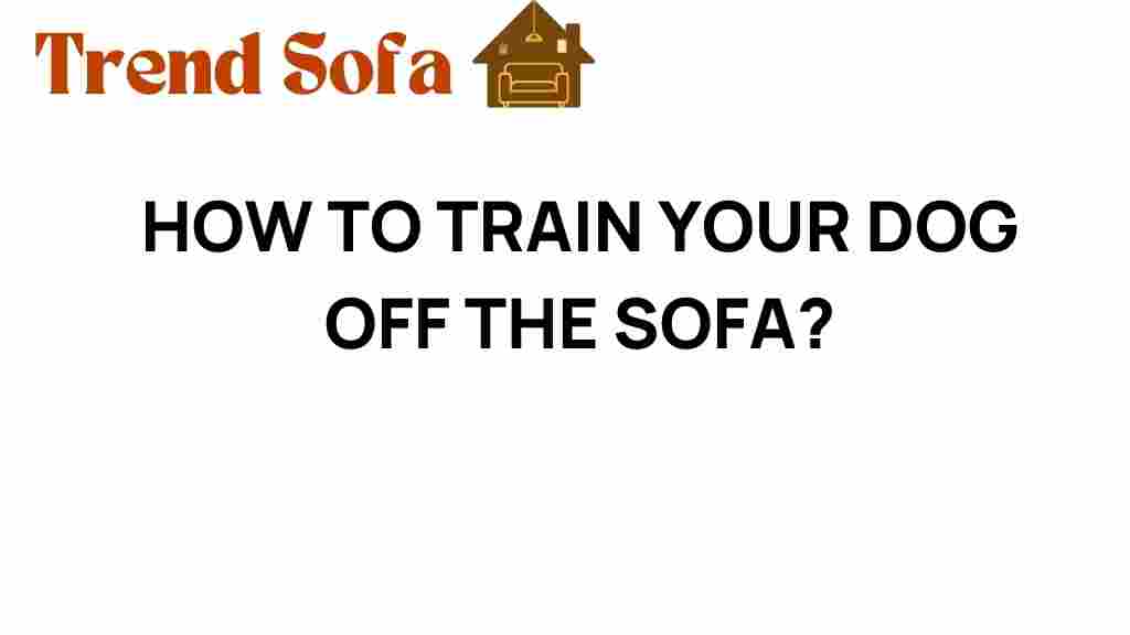 training-dog-off-sofa