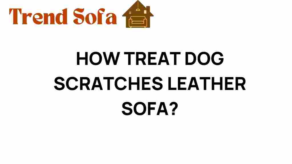treat-dog-scratches-leather-sofa