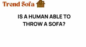Can a Human Really Throw a Sofa? The Physics Behind the Feat
