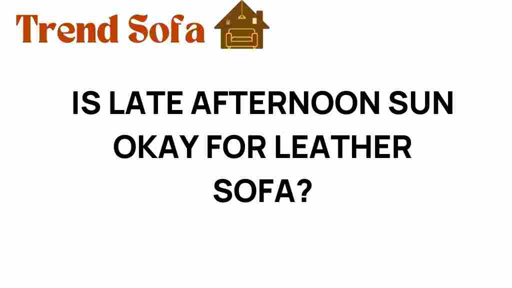 is-late-afternoon-sun-ok-leather-sofa