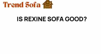 Is Rexine Sofa the Ultimate Choice for Modern Living Rooms?
