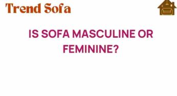 Unpacking the Debate: Is Sofa Masculine or Feminine?