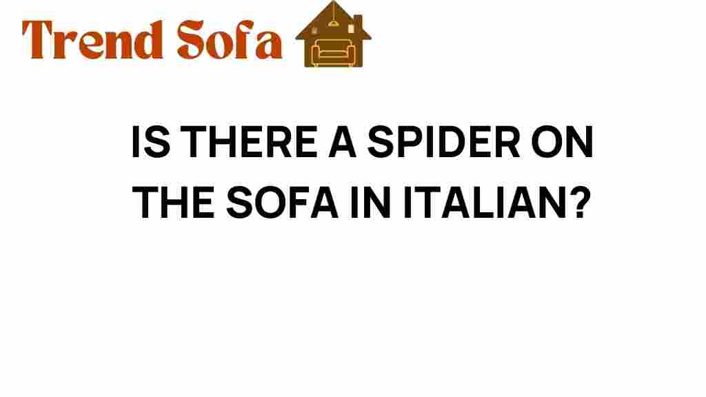 is-there-a-spider-on-the-sofa