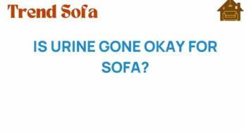 Is Urine Gone Effective for Sofa Stains? Discover the Truth!