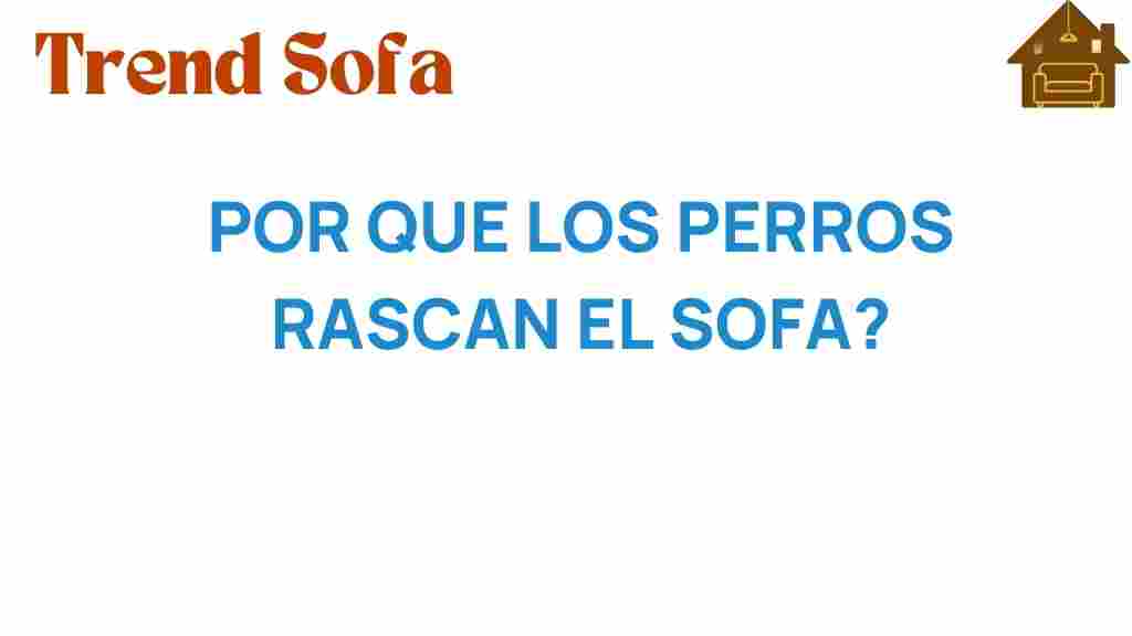 por-que-los-perros-rascan-el-sofa