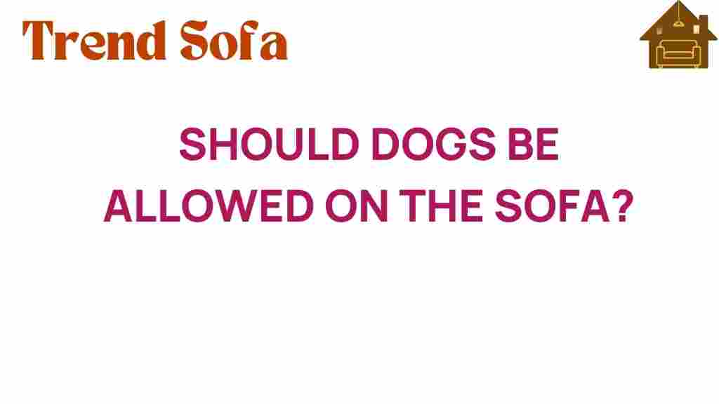 should-dogs-be-allowed-on-the-sofa