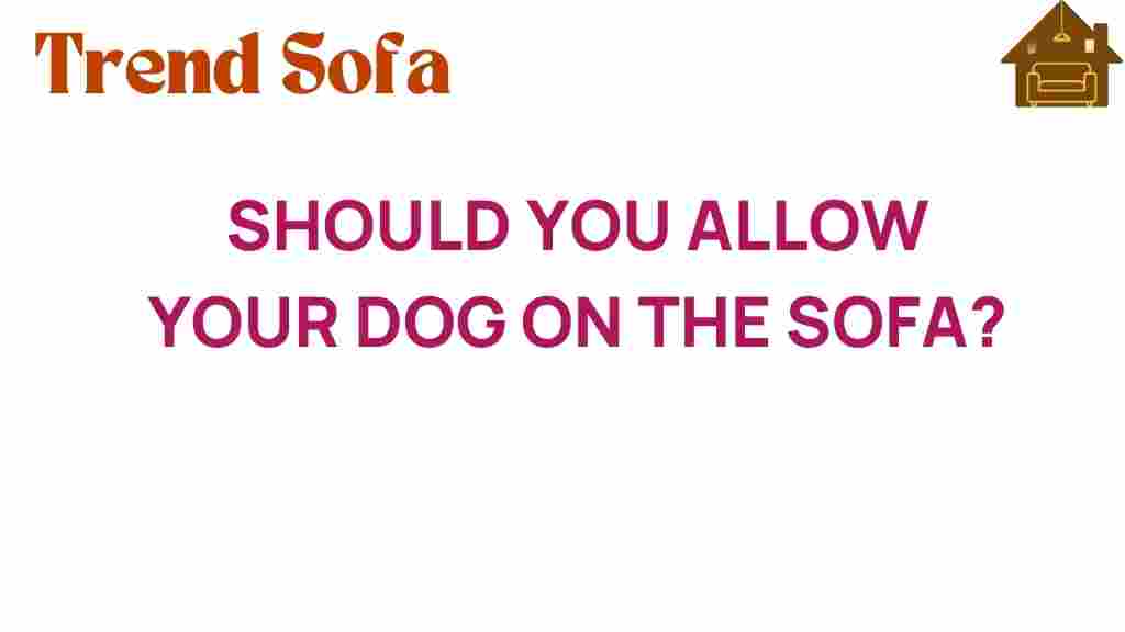 should-you-allow-your-dog-on-the-sofa