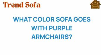 Discover the Perfect Color Sofa to Complement Your Purple Armchairs