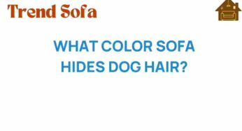 What Color Sofa Best Conceals Dog Hair? Discover the Secrets!