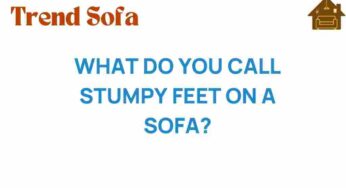 Stumpy Feet on a Sofa: What’s Behind This Quirky Design Trend?