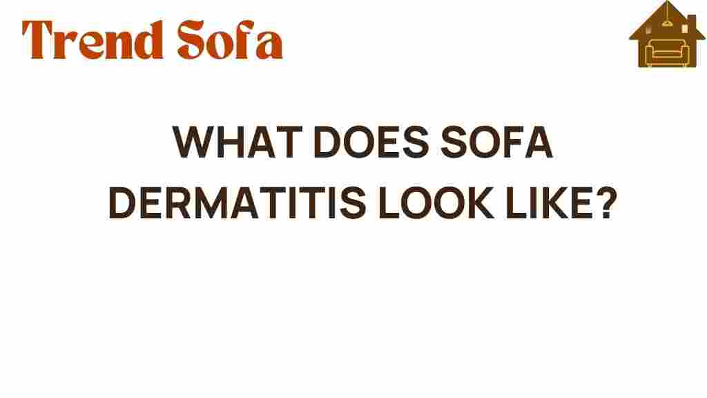 sofa-dermatitis-identification