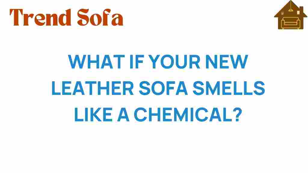 what-if-your-new-leather-sofa-smells-like-chemical