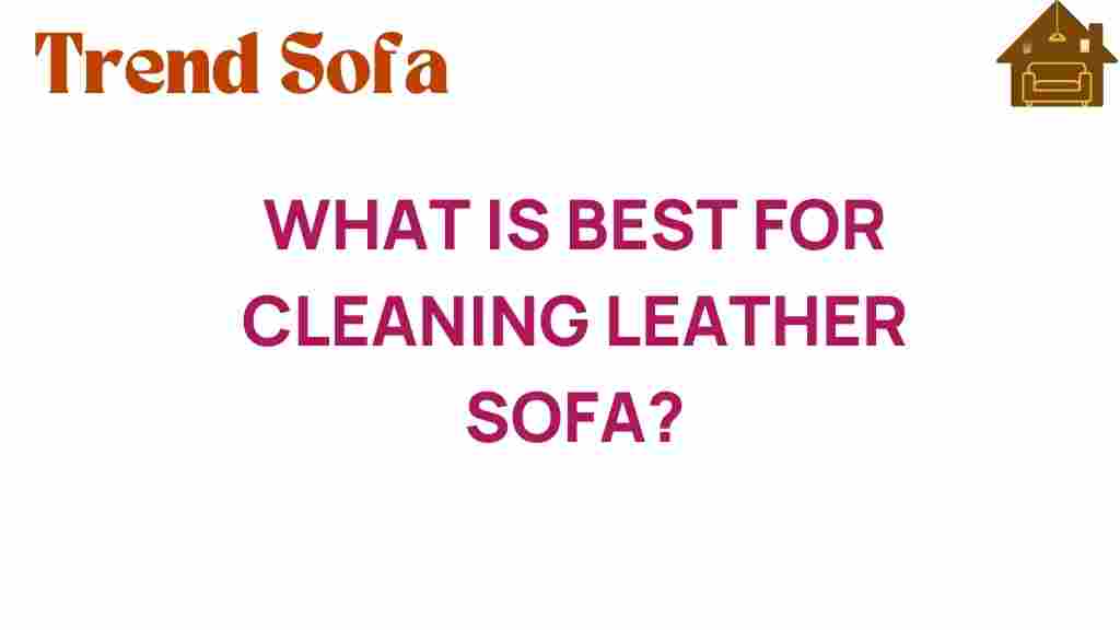 what-is-best-for-cleaning-leather-sofa