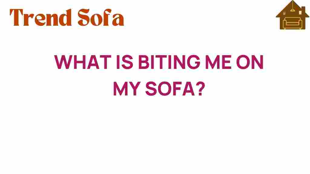 what-is-biting-me-on-my-sofa