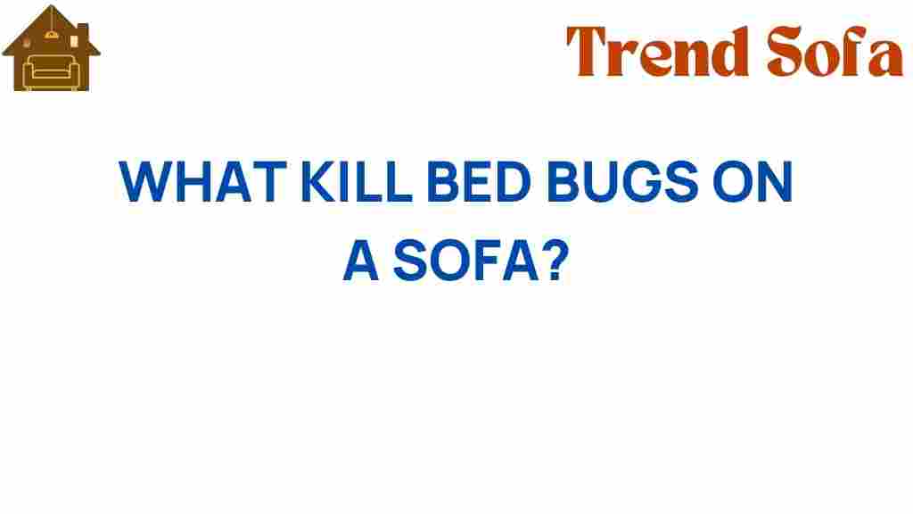 what-kills-bed-bugs-on-a-sofa