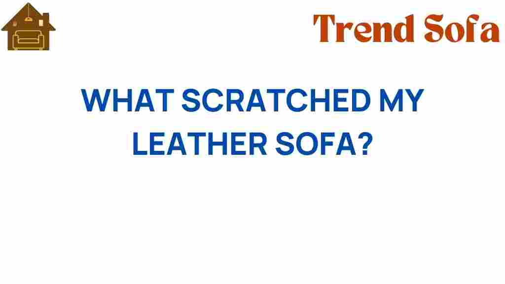 what-scratched-my-leather-sofa