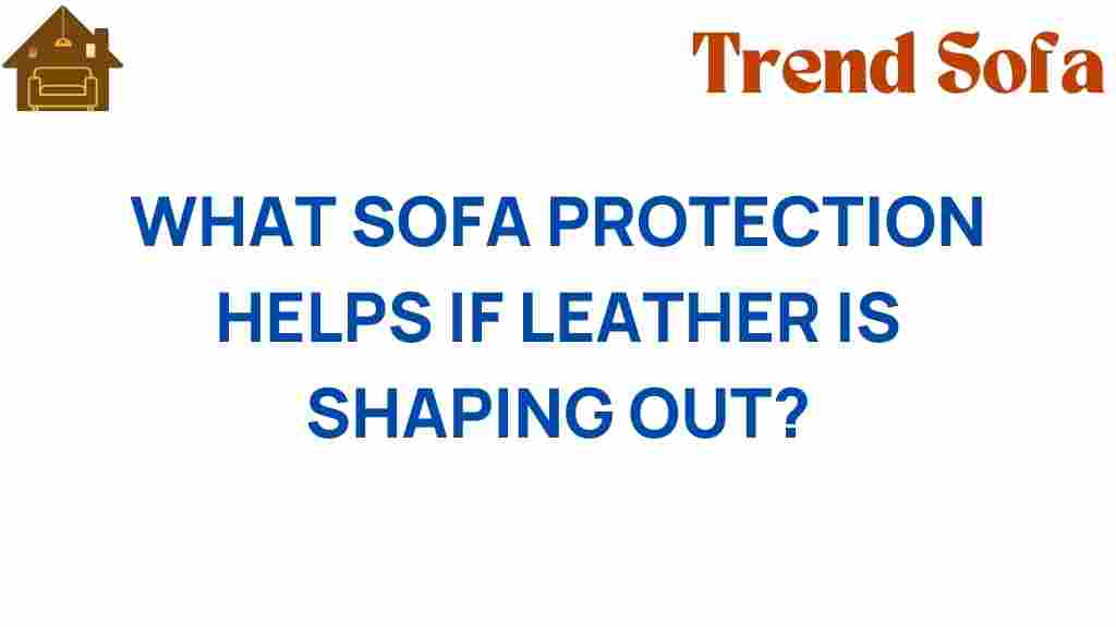 what-sofa-protection-leather-shaping-out