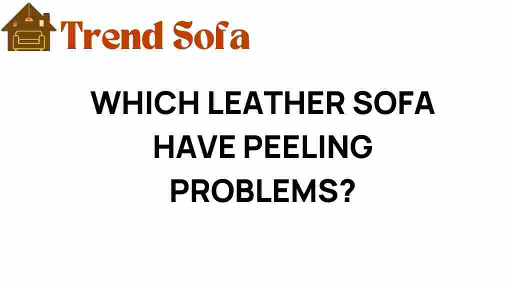 leather-sofa-peeling-problems