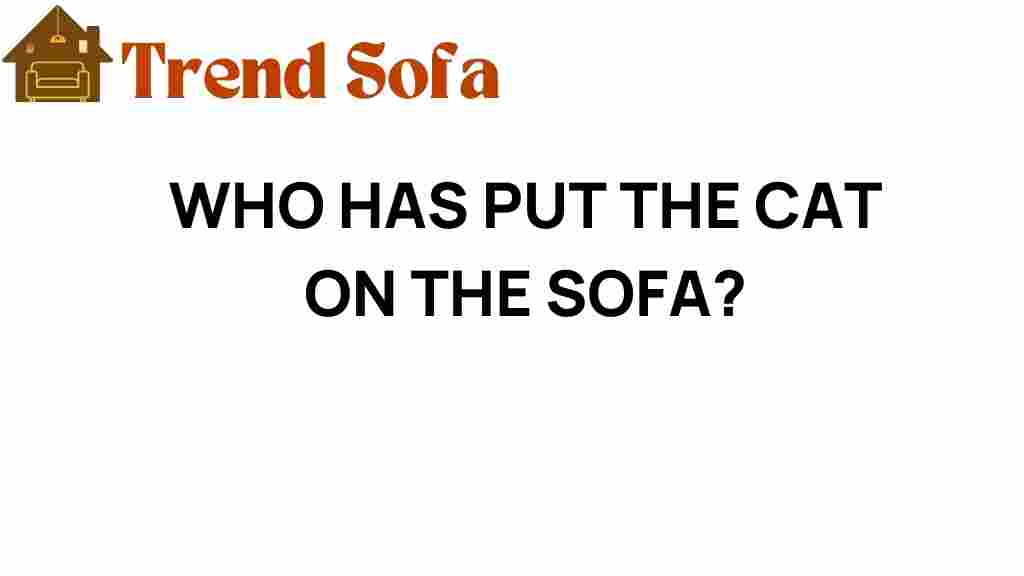 who-has-put-the-cat-on-the-sofa