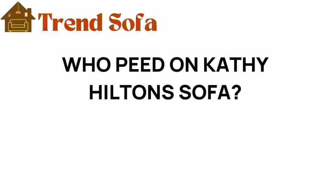 who-peed-on-kathy-hiltons-sofa