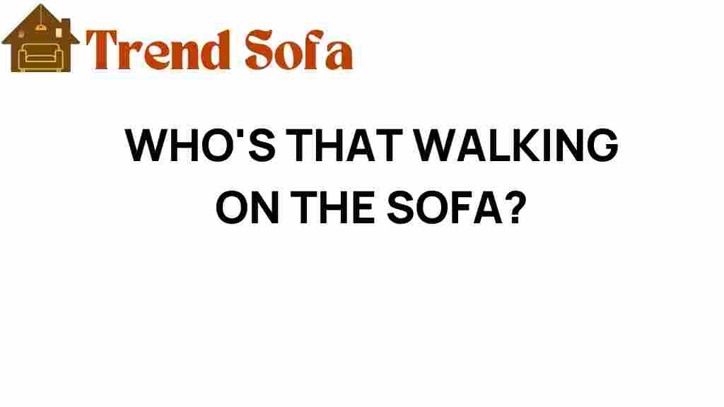 whos-that-walking-on-the-sofa