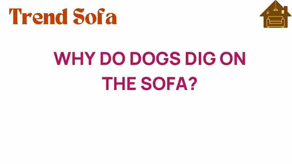 why-do-dogs-dig-on-the-sofa