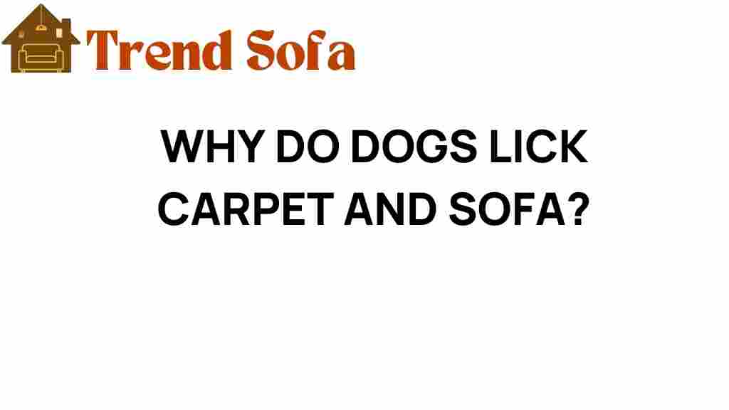 why-do-dogs-lick-carpet-and-sofa