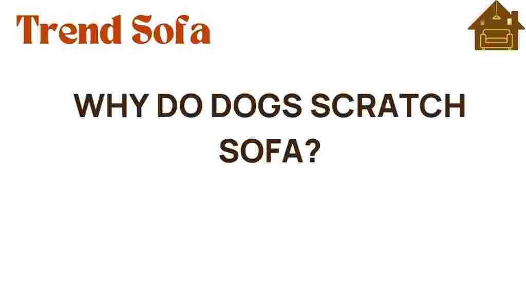 why-do-dogs-scratch-sofa